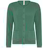 Cedar Gree