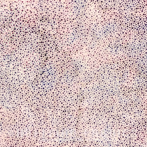 3019-146.jpg