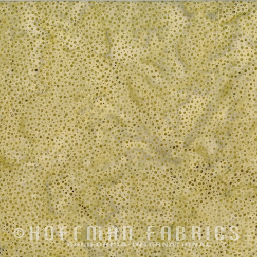 3019-172.jpg