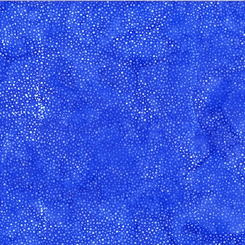 3019-255.jpg