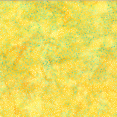 3019-259.jpg