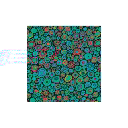 8200-113.jpg