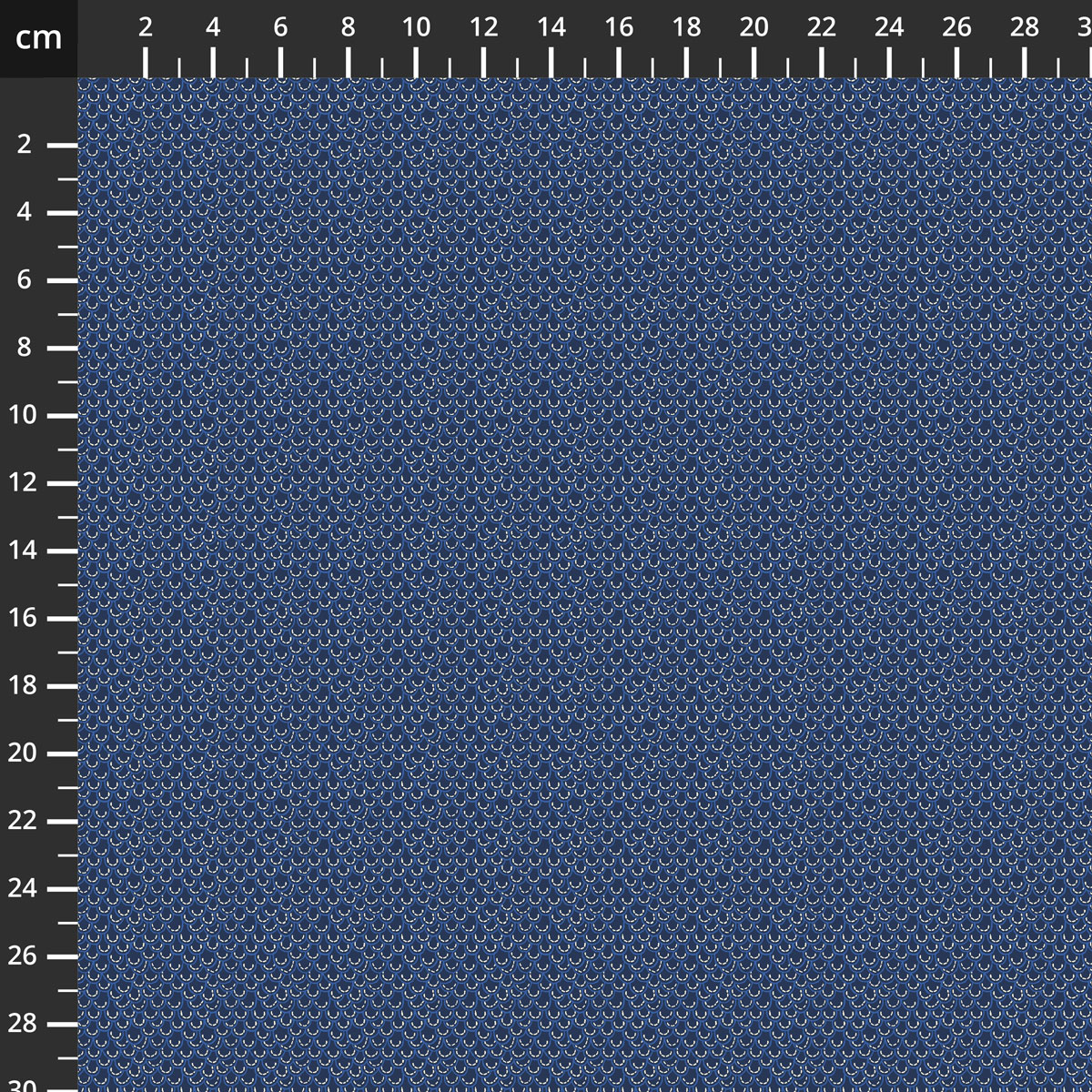 2556-212.jpg