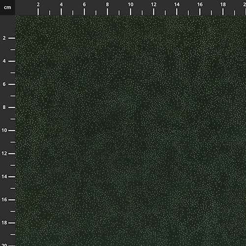 3021-034.jpg