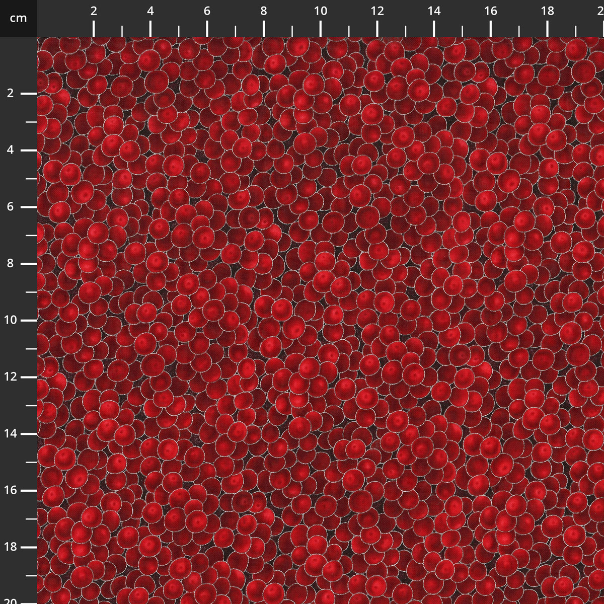 3290-001.jpg