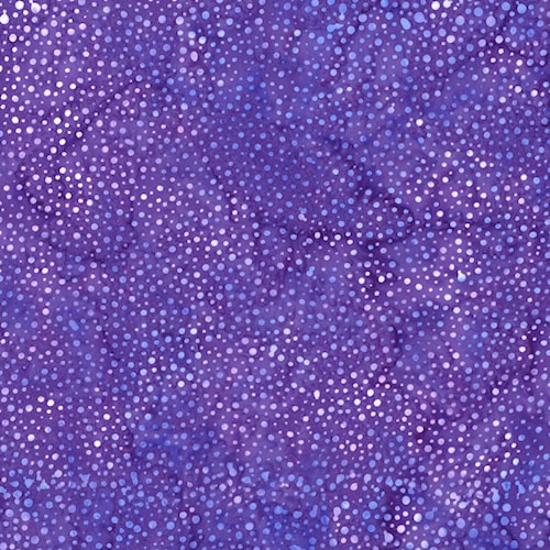 3019-266.jpg