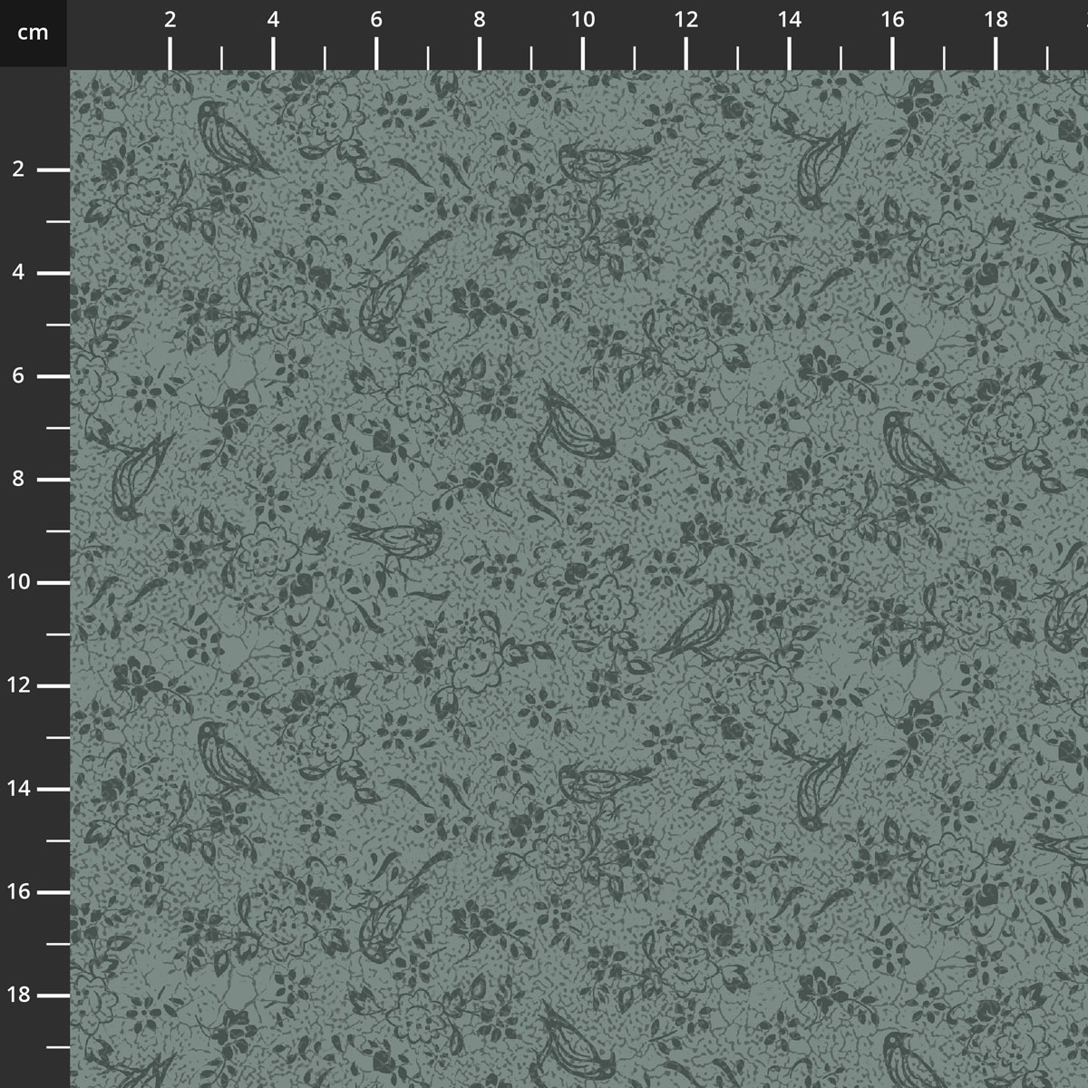4707-781.jpg