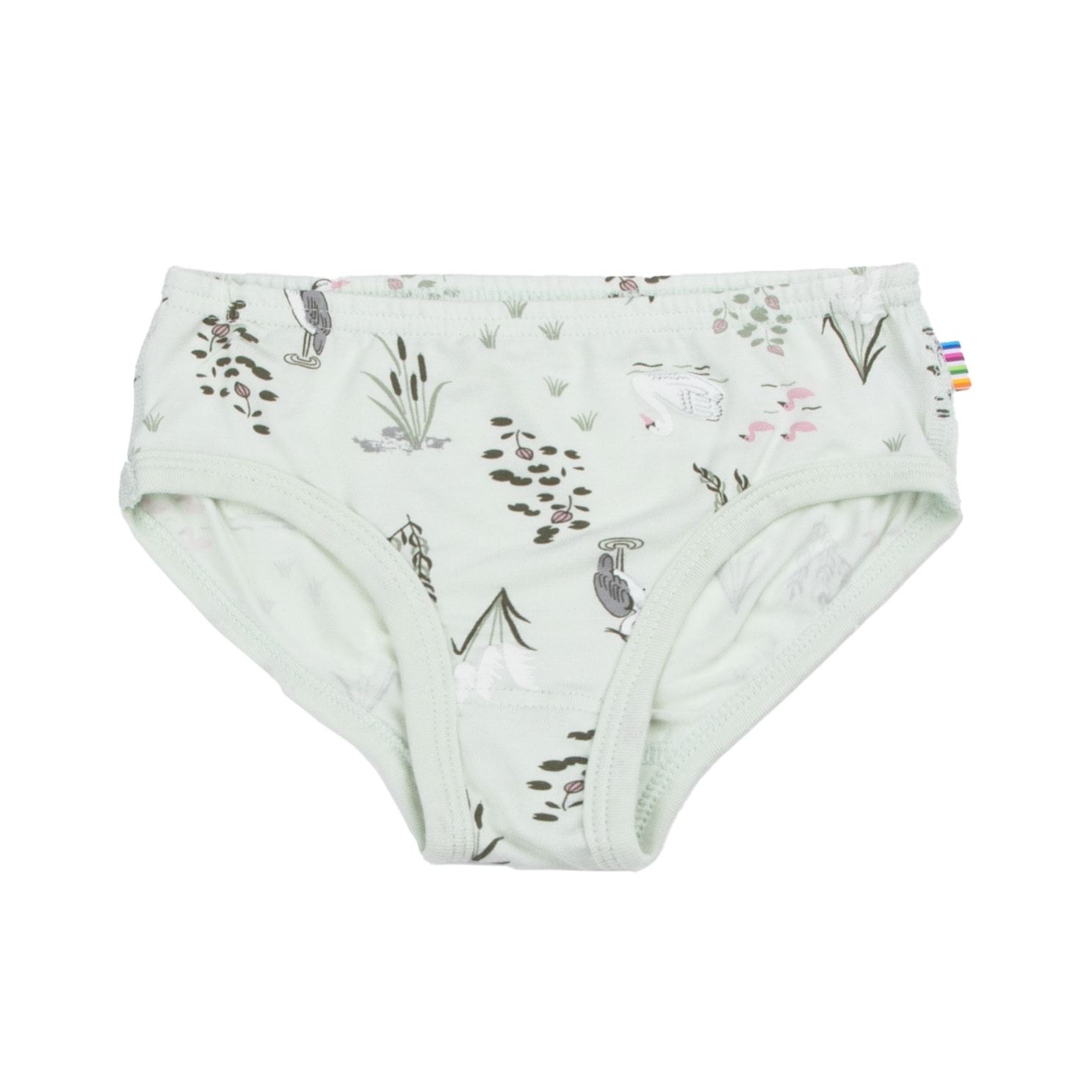 Briefs