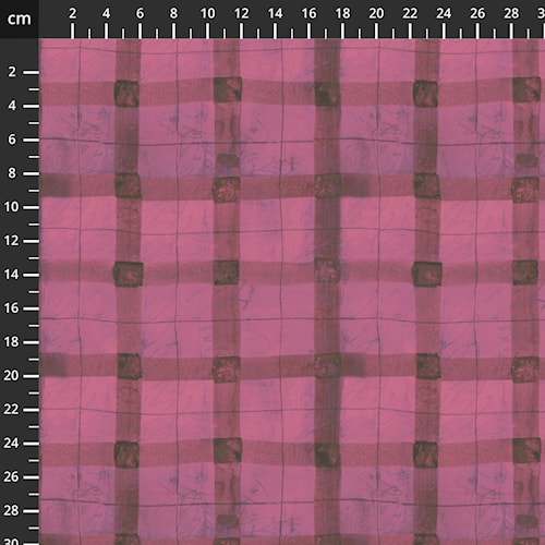 54927D-15Beetroot.jpg