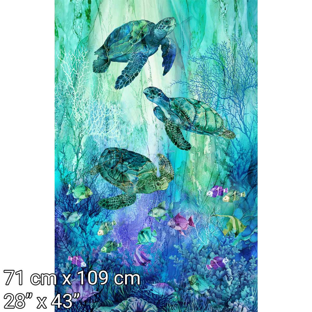 DP28875-66.jpg