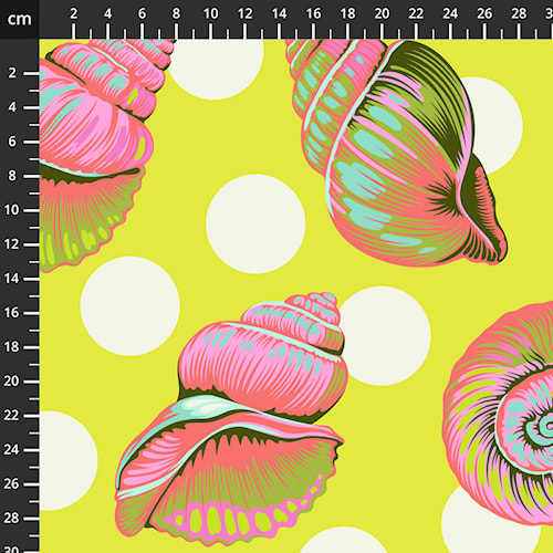 QBTP021.Seagrass.jpg