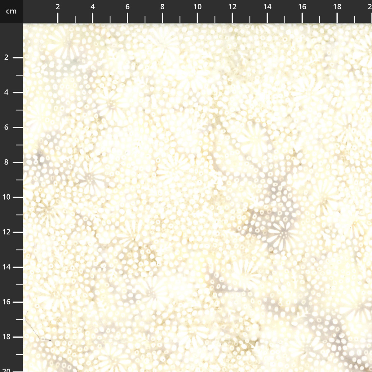 3386-101.jpg