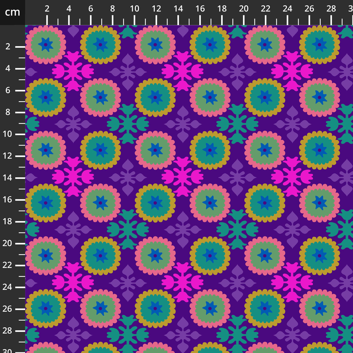 55586-10Grape.jpg