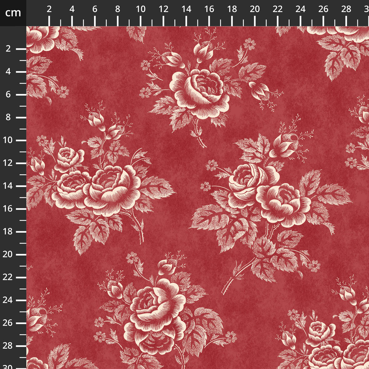 55521-1Red.jpg