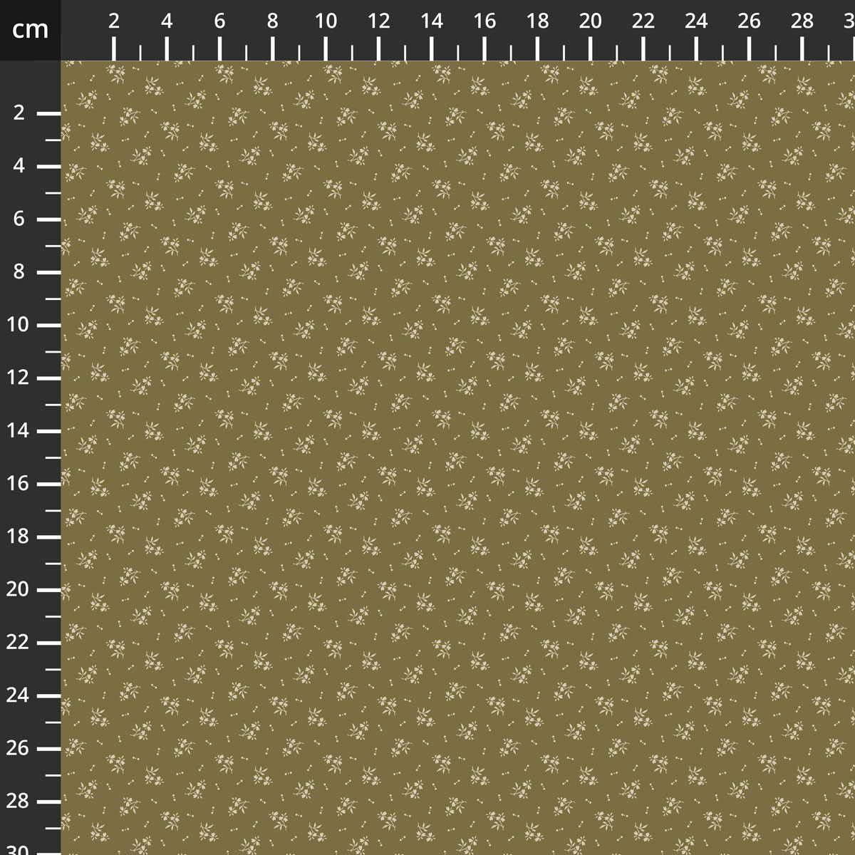 55698-4Olive.jpg