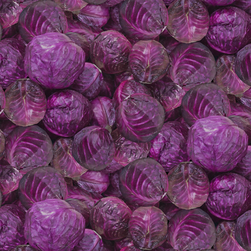 2556-010.jpg