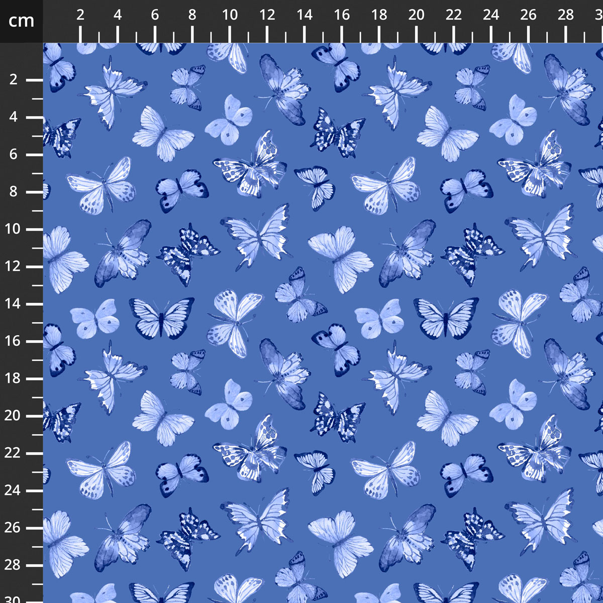 24857-BLU-CTN-D.jpg