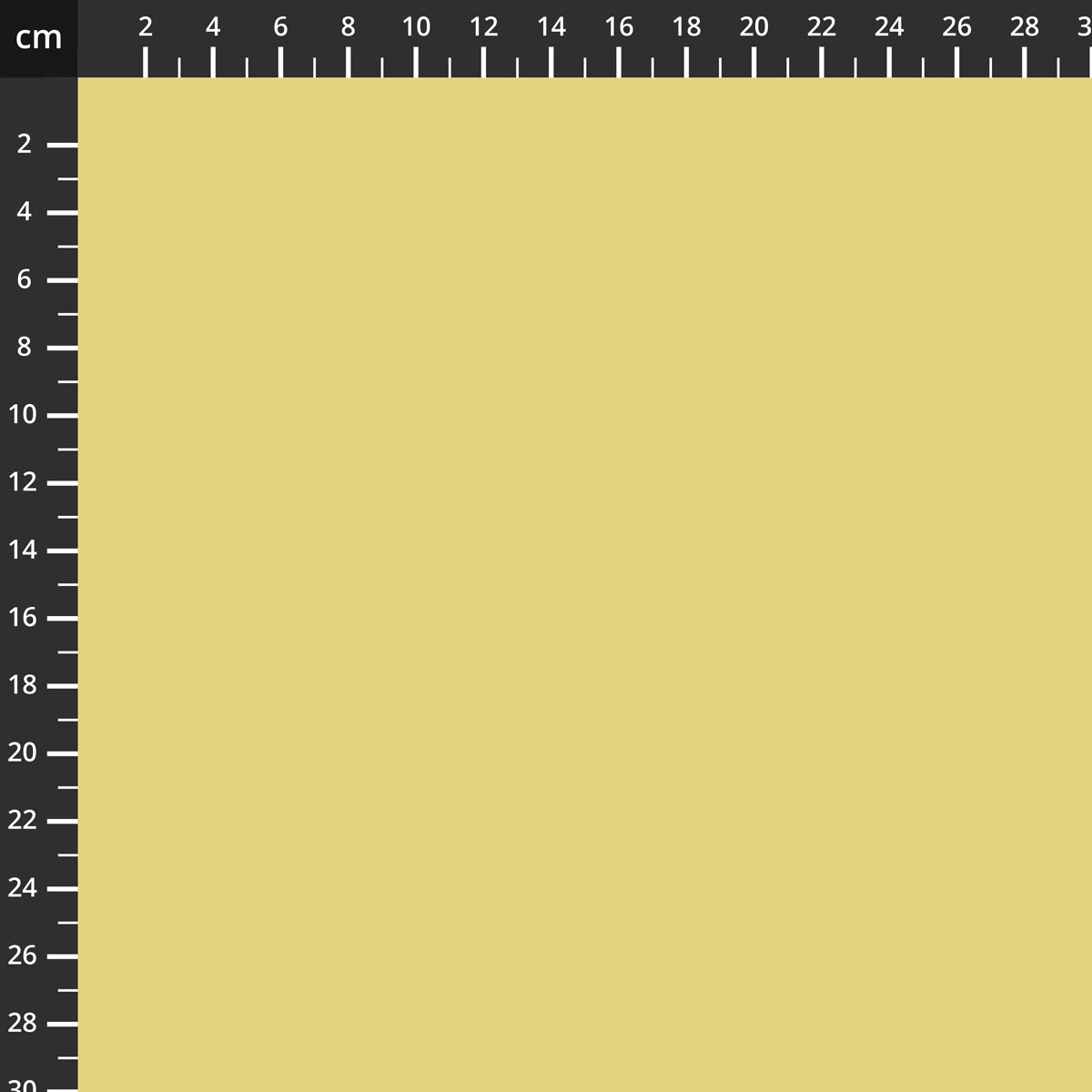 C120-BEANSPROUT.jpg