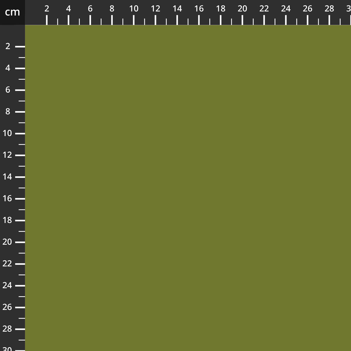 C120-PARSLEY.jpg