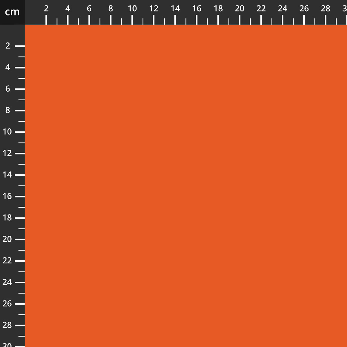 C120-RILEYORANGE.jpg