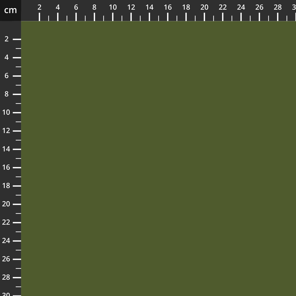 C120-ZUCCHINI.jpg