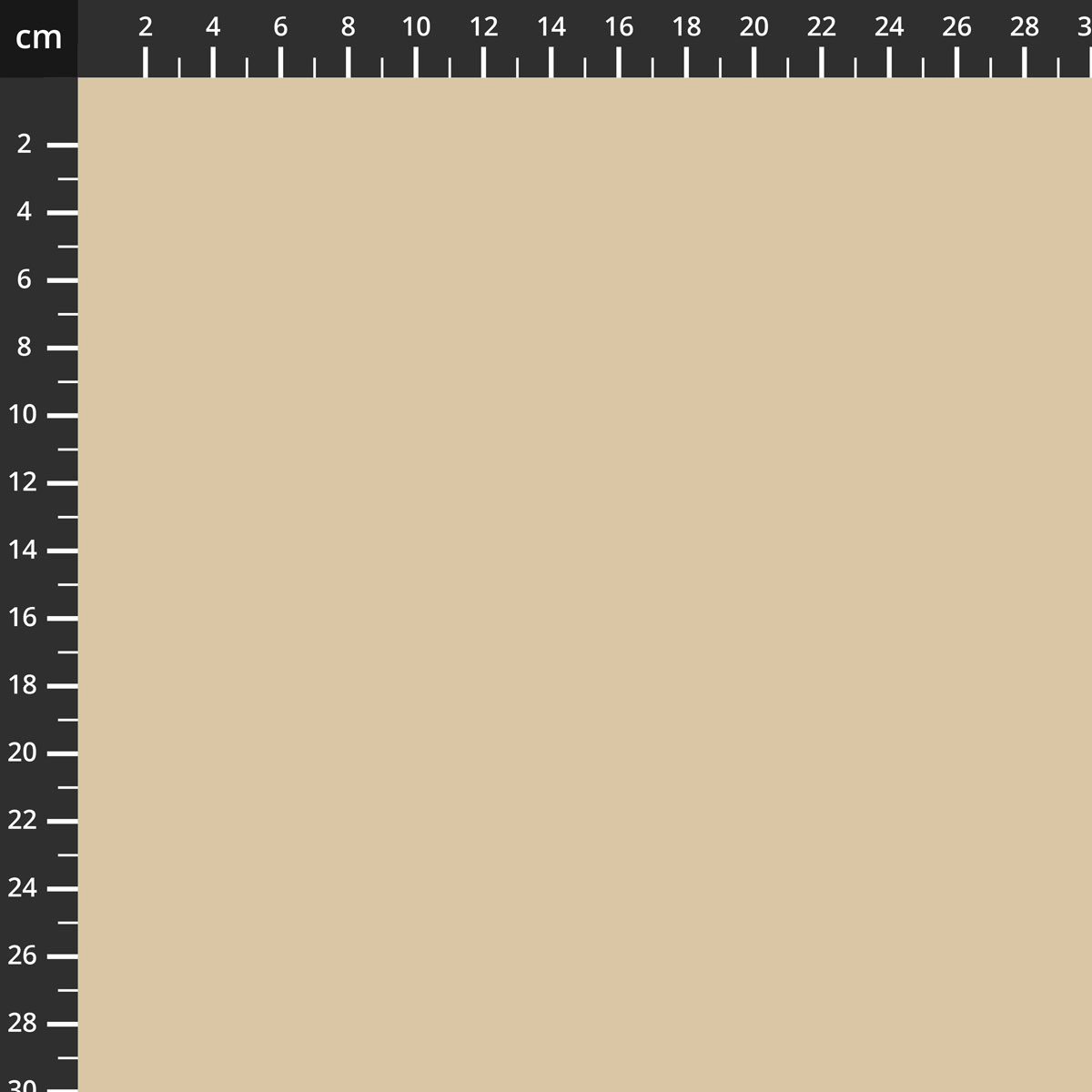 C120-BISCUIT.jpg