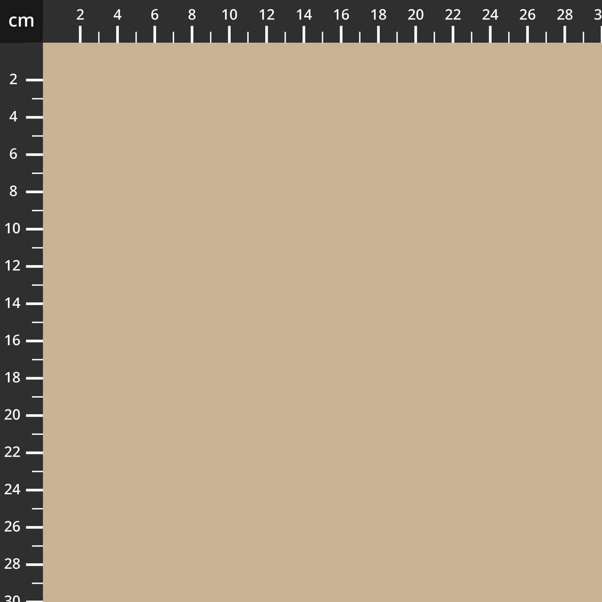 C120-CAPPUCCINO.jpg