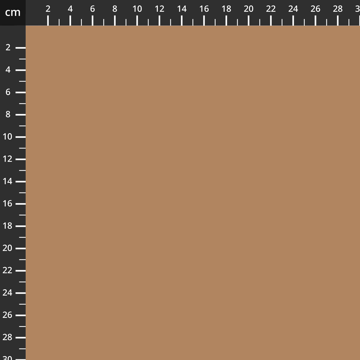 C120-NUTMEG.jpg