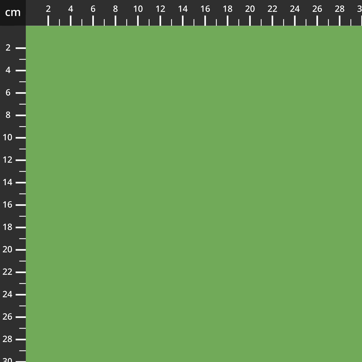 C120-RILEYGREEN.jpg