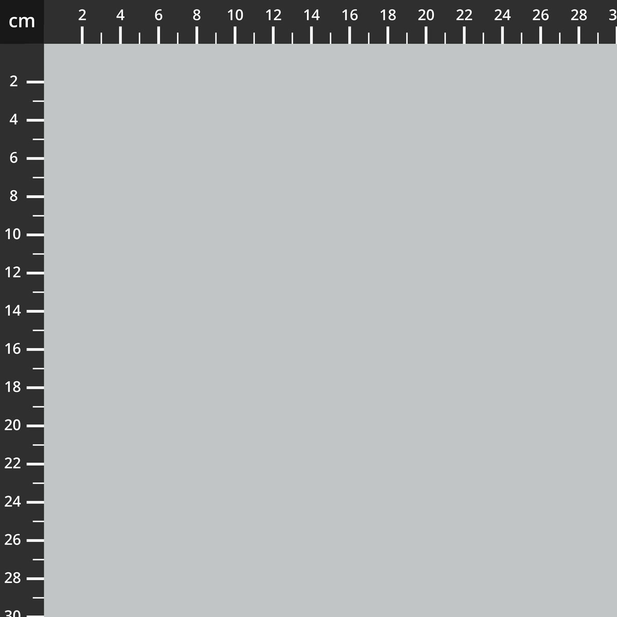 C120-SILVER.jpg