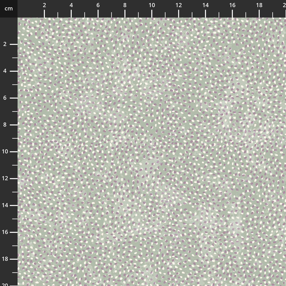 2955-61.jpg