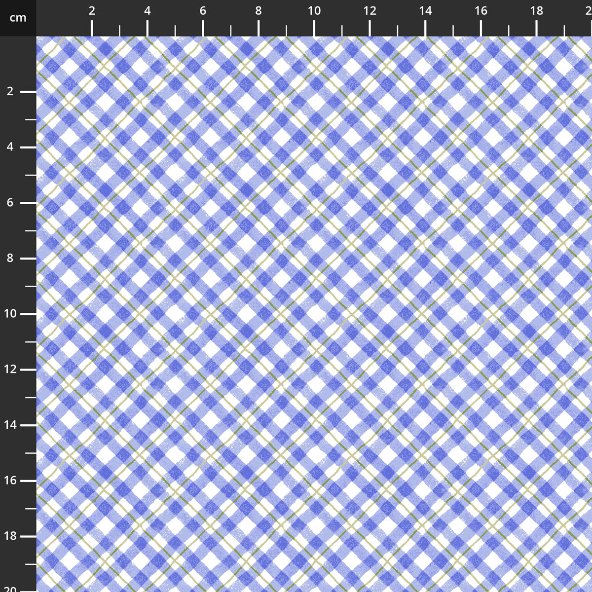 2937-70.jpg