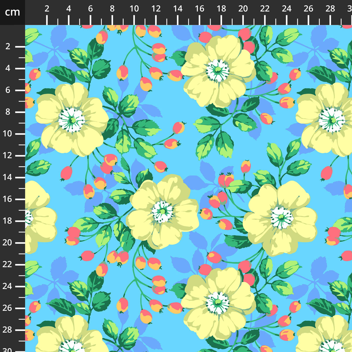 PWMD006.BLUE.jpg