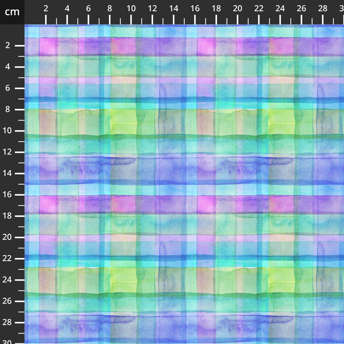 3906-436.jpg