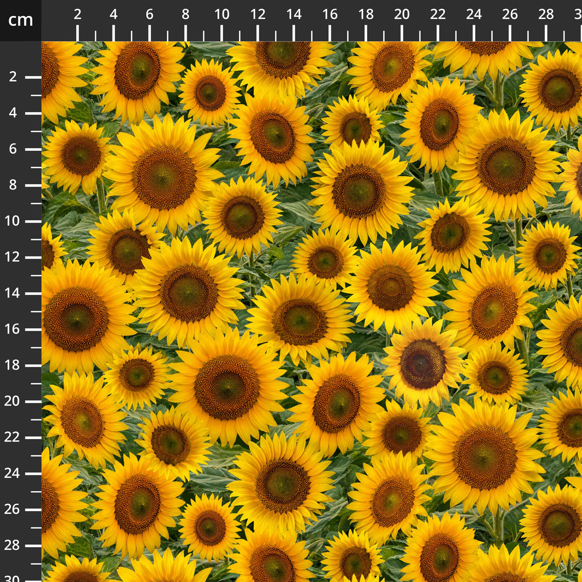 55884D-1Multi.jpg