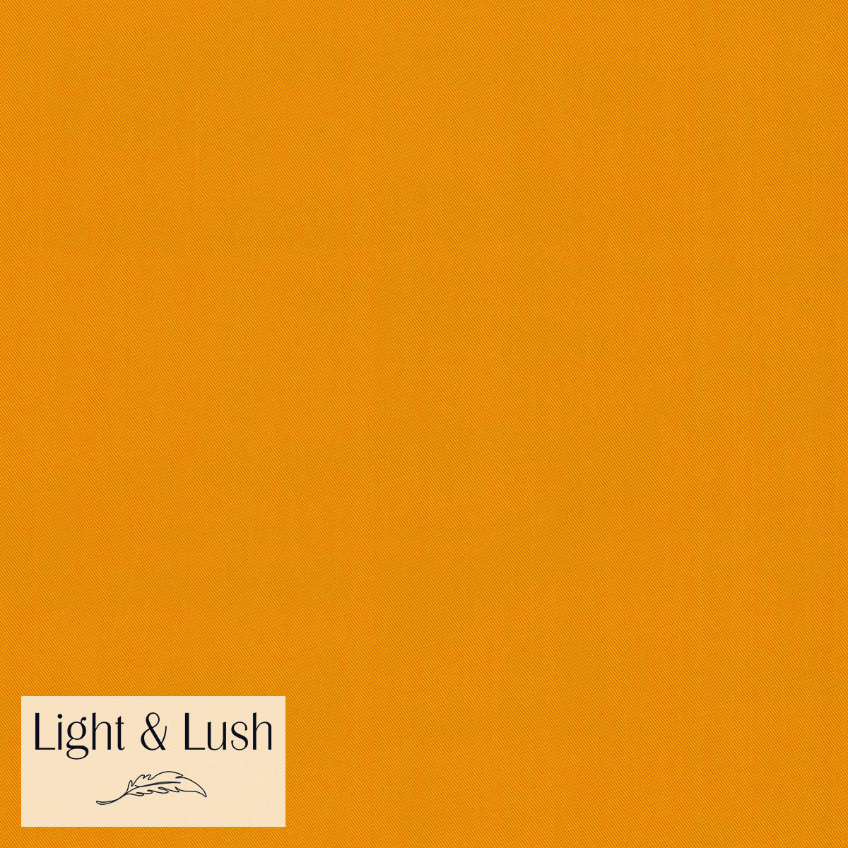 32-003Orange.jpg