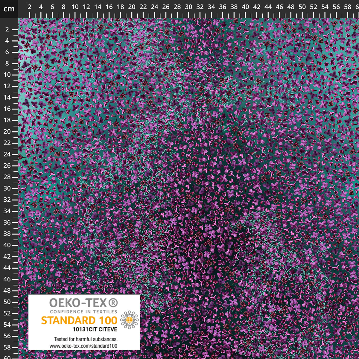 4504-362.jpg