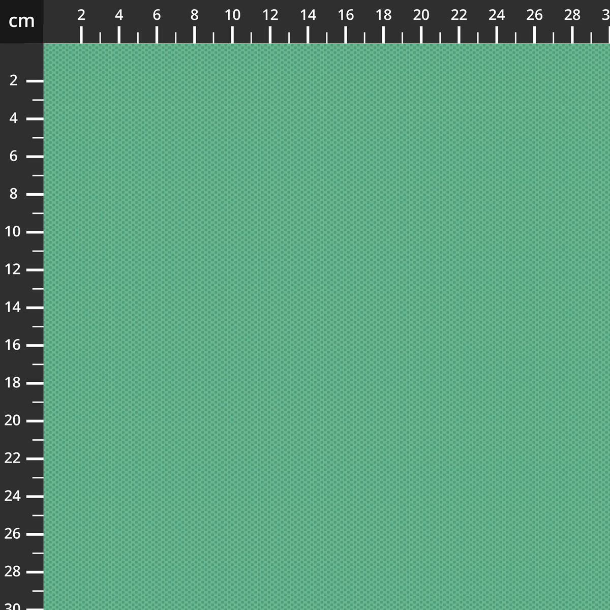 C805-ALPINE.jpg