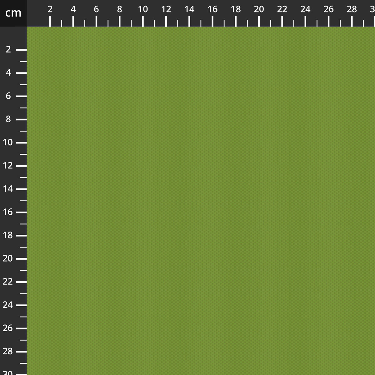 C805-BASIL.jpg