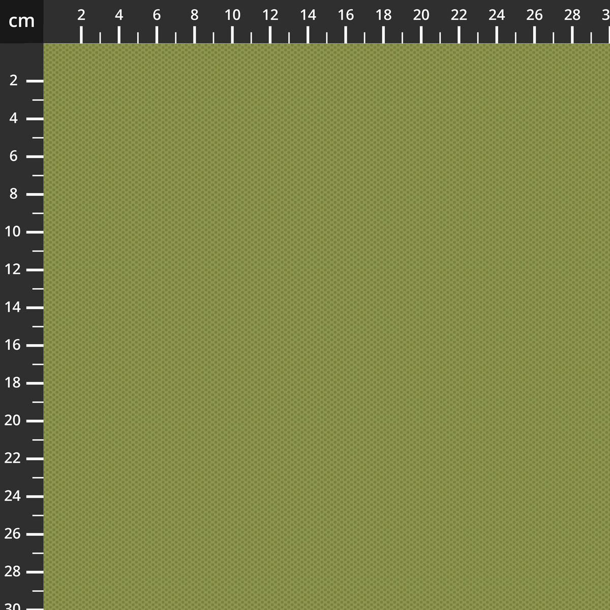 C805-OLIVE.jpg