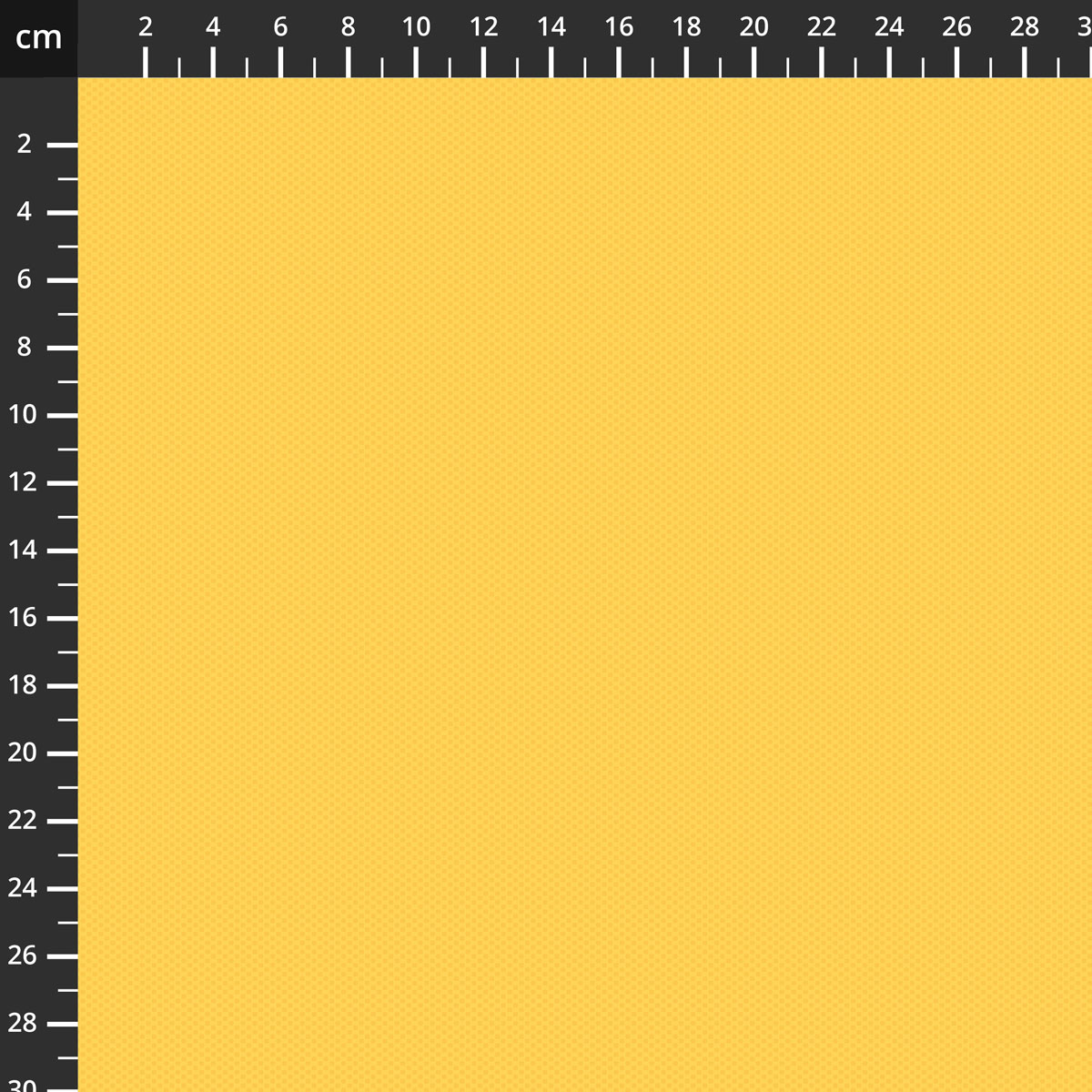 C805-RILEYYELLOW.jpg