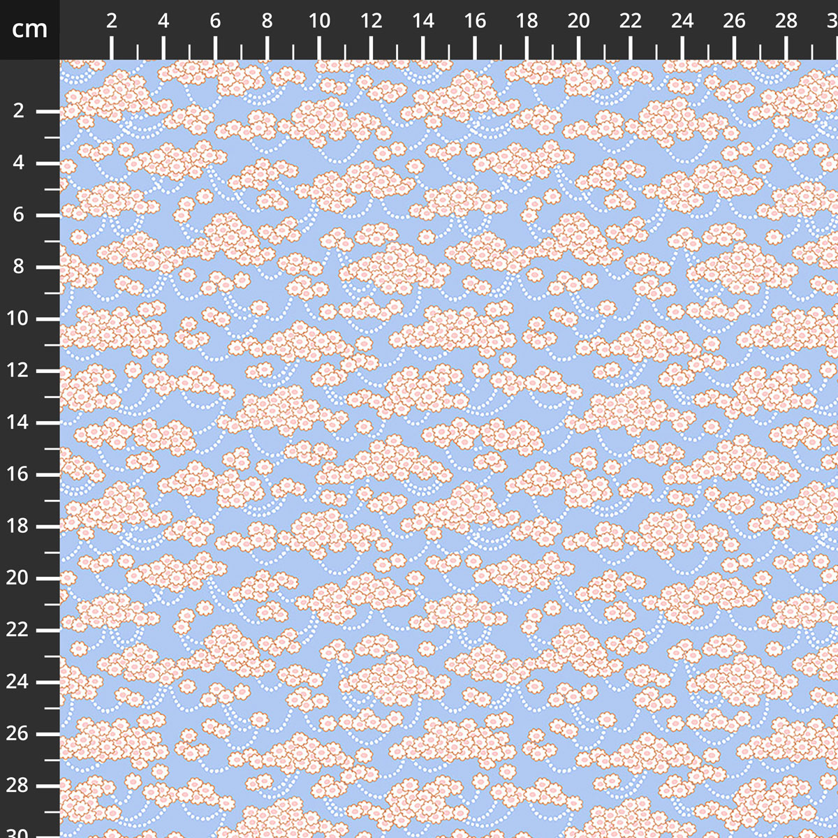 AMT209-62V.jpg