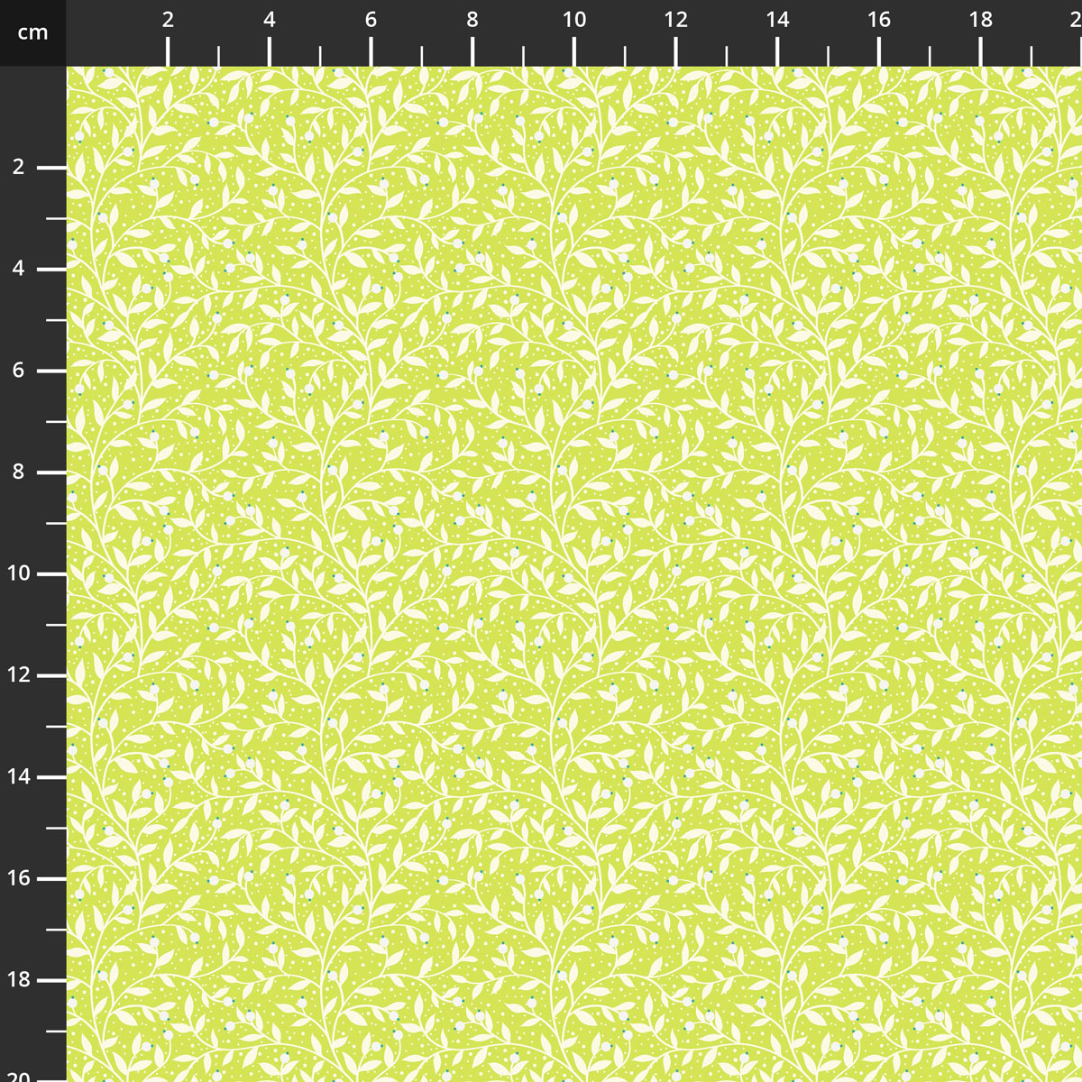 BERY8000LIME.jpg