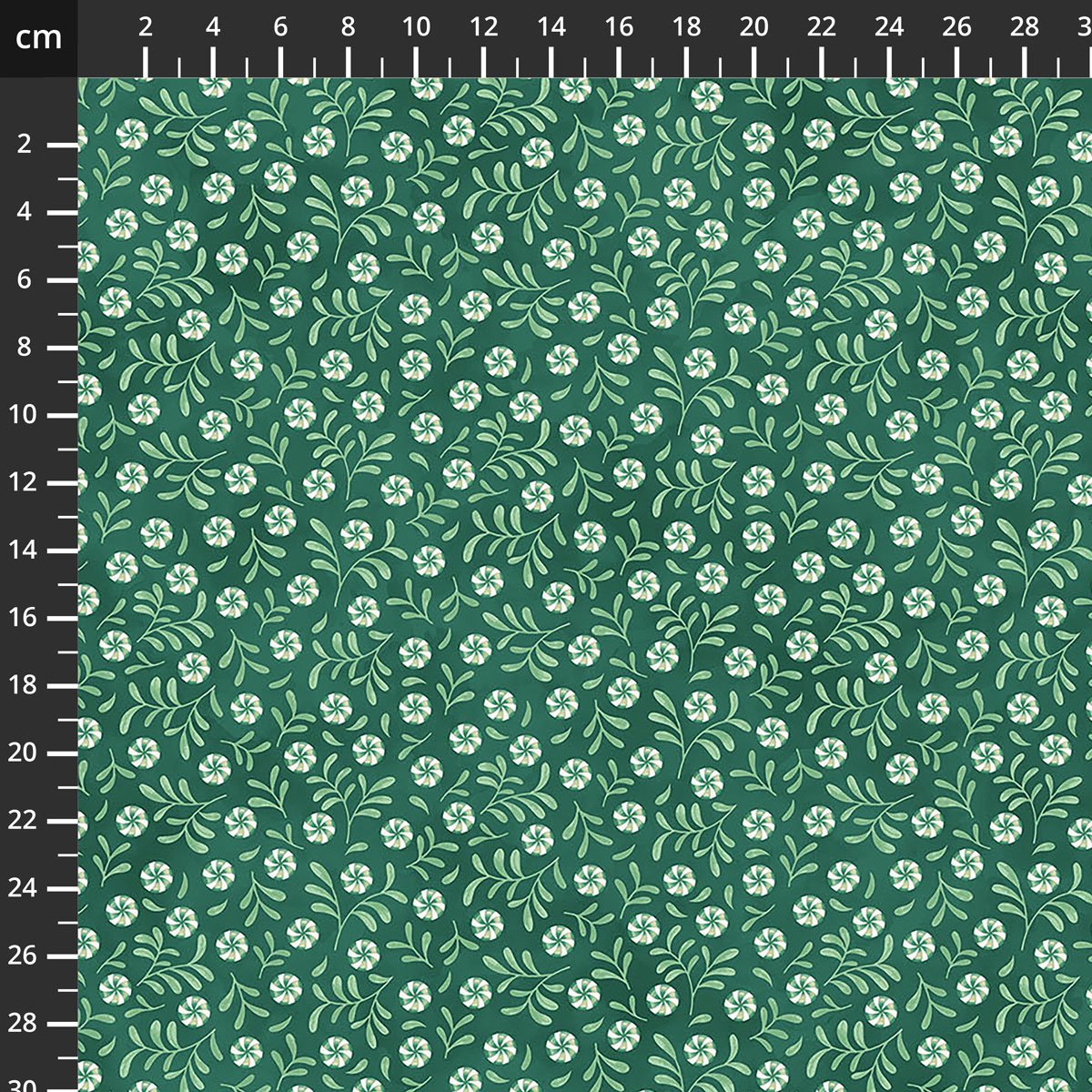 29755-76.jpg