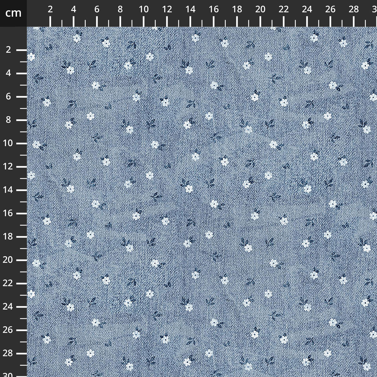 29765-42.jpg