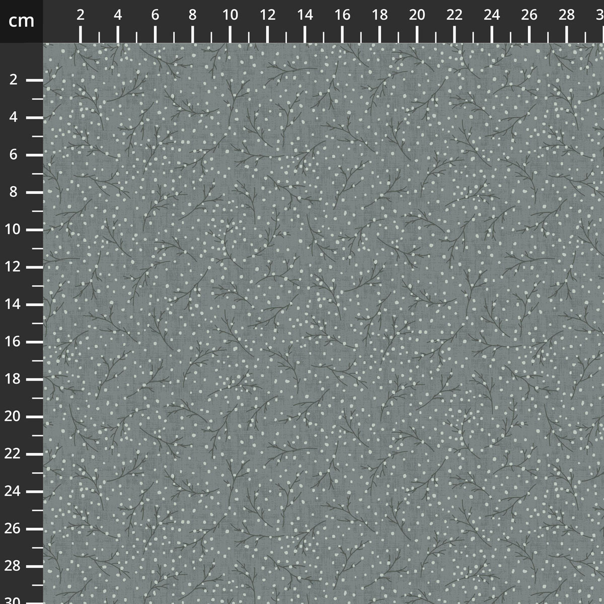 2381-17.jpg