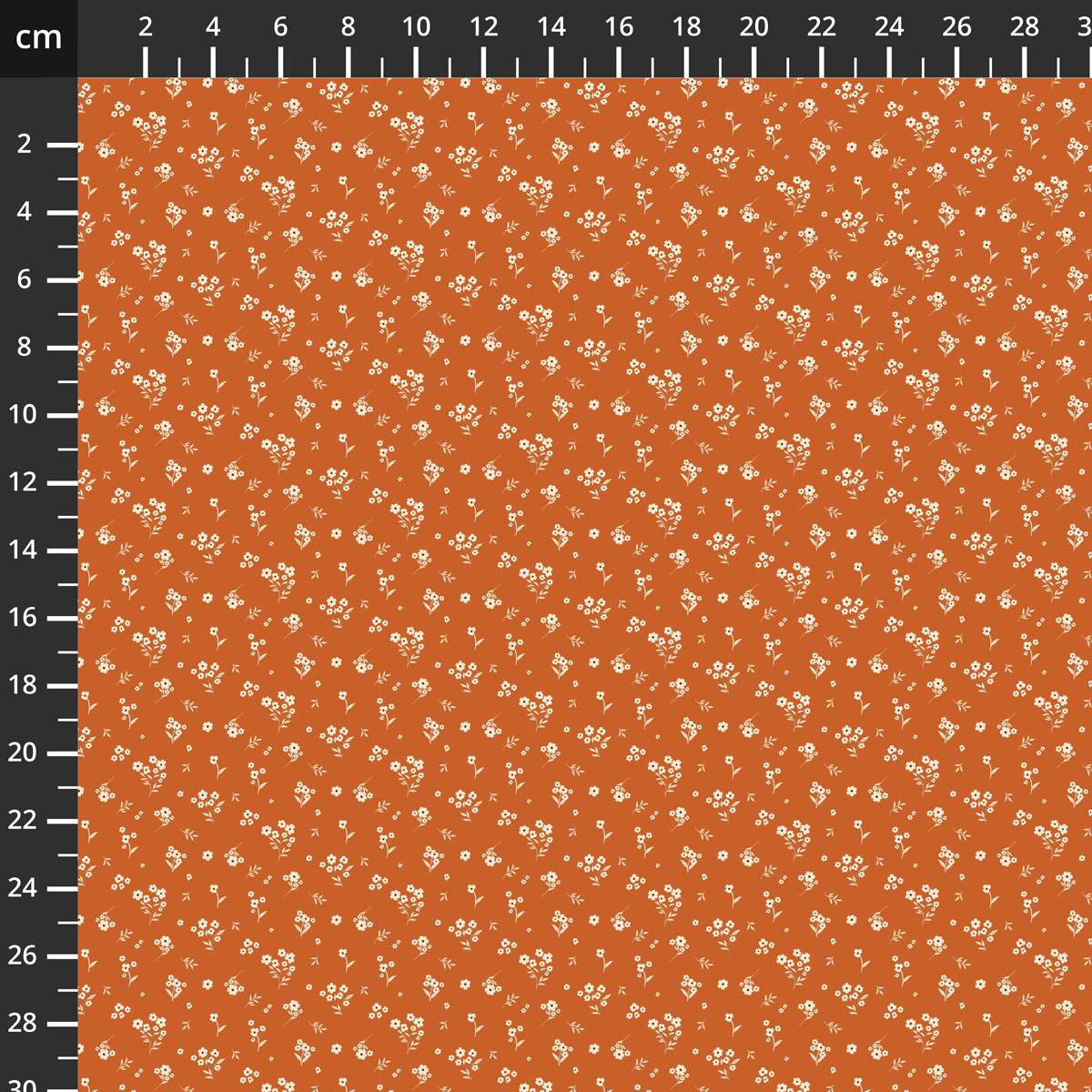 C19336-ORANGE.jpg