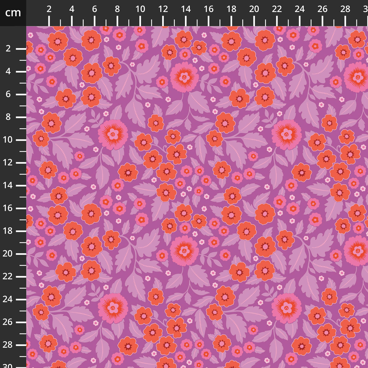 C19362-PURPLE.jpg