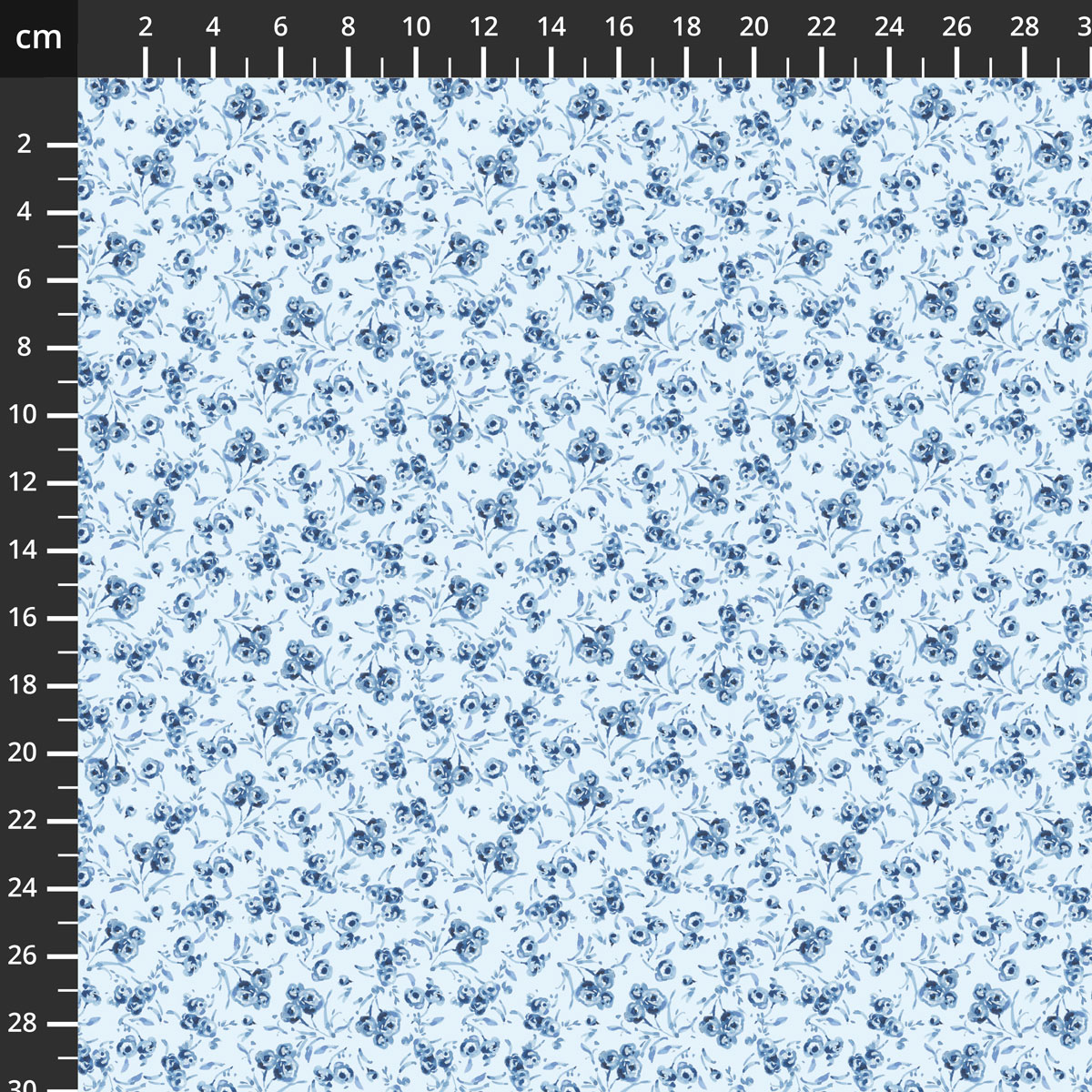 C19494-BLUE.jpg